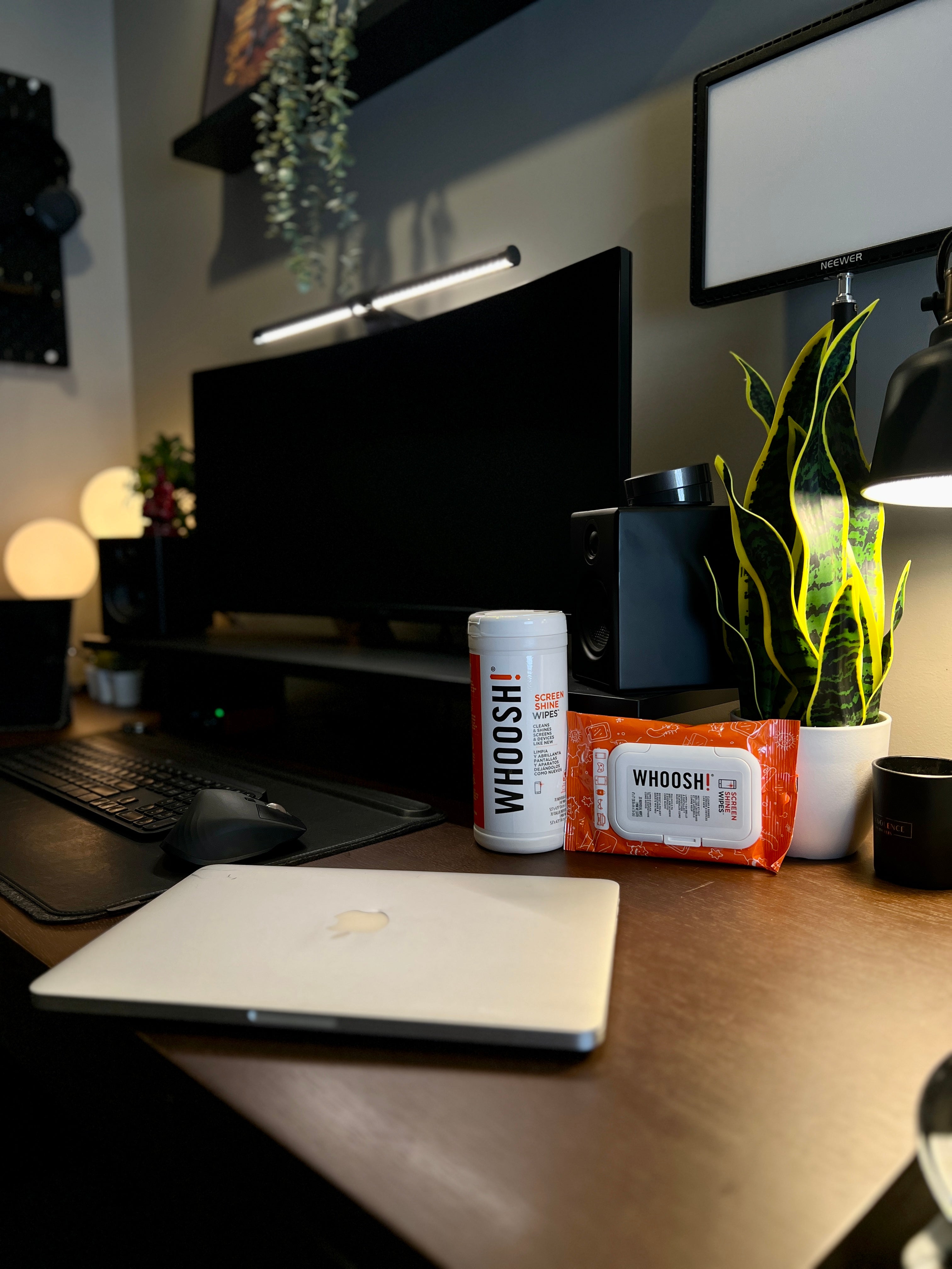 Home office desk with laptop, monitor and plants, featuring WHOOSH! screen wipes and screen shine canister for keeping screens clean, clear and fingerprint-free.